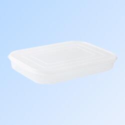 Flippy Cutie de depozitare de uz casnic, Flippy, Caserola pentru Frigider, Rezistenta la umiditate, Rezervor Sigilat pentru Depozitare Alimentara, 24.5 x 18.5 x 3.5cm, Alb Transparent (132176)