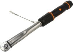 Beta Cheie dinamometrică 3/8" 20-100Nm (006664010)