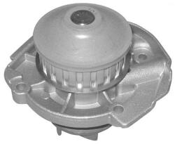 Dolz Vízpumpa Dolz S161