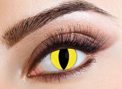 Eyecasions Lentile Feline Lichid lentile contact