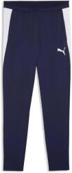 PUMA Teamfinal 26 Training Pants (65968806)