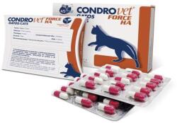Bioiberica Condrovet Force HA pisica, 1 cp(*45 cp/flacon)