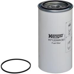 Hengst Filter Filtru combustibil HENGST FILTER H7120WK30 D941 (H7120WK30 D941) - fixbox