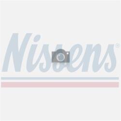 NISSENS Vas de expansiune, racire NISSENS 996493 (996493)