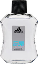 Adidas After Shave 100 ml Ice Dive (3616303424220)
