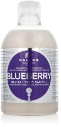 Kallos Kallos Hair Shampoo With Blueberry Extract And Avocado Oil 1000 ml