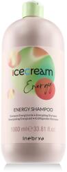 Inebrya Ice Cream Energy Shampoo 1000 ml