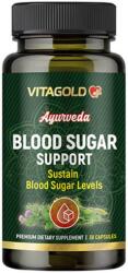 Vitagold Ayurveda Blood Sugar Support, 30 capsule, Vitagold