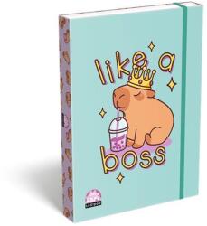 LOLLIPOP Füzetbox A4 zöld Lollipop Capybara mintás gumizáródással TICFBLCBA4 (TICFBLCBA4)
