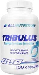 ALLNUTRITION Tribulus Testosterone Booster, 100 capsule, AllNutrition