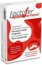 Paladin Pharma Lactofer Forte Probiotic, 14 capsule, Paladin Pharma