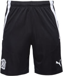 PUMA Team Liga Training Shorts (65724903-zb)