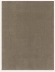 Calma House covor de podea din plastic 90 x 150 cm 99KK-DYUZZ0_90X (APOLO150GRI) Covor