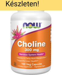 NOW NOW Choline 300 mg 100 kapszula