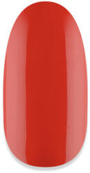 NiiZA Gel Polish 4ml - 338 - gellakk