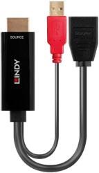 Lindy Adaptor Lindy HDMI 18G to DisplayPort, negru (LY-38289)
