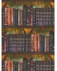 As Creation Tapet biblioteca vintage