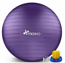  Tresko gimnasztikai labda (lila, 75 cm) pumpával (YGB-026)