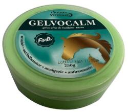 PHYLAXIA Gelvocalm Forte Gel Incalzire-racire 250g