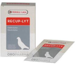Versele-Laga Vl Oropharma Recup-lyt 240g (12plx20g)
