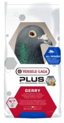 Versele-Laga Hrana Uscata Pentru Porumbei Gerry Plus Ic 20kg
