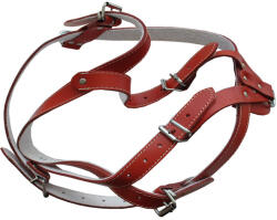 ANTAL Ham Piele Pentru Caini Cu Ornament Nr. 4 Rosu 66-83 Cm