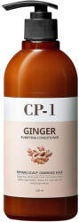 Esthetic House CP-1 Ginger Purifying Conditioner - Balsam Fortifiant pentru Păr 500ml