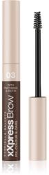 Gabriella Salvete XXPress Brow gel fixare pentru sprâncene culoare 03 6 ml