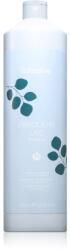 Echosline Frequent Shampoo шампоан за ежедневно миене на коса 1000ml