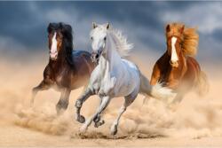 Media Öntapadós tapéta Horses, galopp, homok2, 400 x 250 cm (FOTOTAP15246)