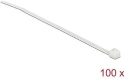 Delock áttetsző kábelkötözők L 100 x W 2.5 mm 100 db (18605) - pepita