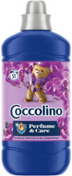 Coccolino öblítőkoncentrátum 1275 ml Purple Orchid& amp; Blueberries
