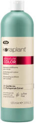 Lisap Keraplant Absolute Post Color sampon, 1000ml - hajpatika