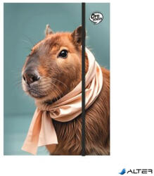 OPTISCHOOL Füzetbox, A4, OPTISCHOOL, "Capybara (27IFB00-004) - alter