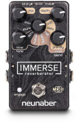Neunaber Immerse Reverberator Mk II