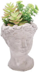 AdTrend Plante artificiale suculente in ghiveci 14 x 14 x 27 cm (107023A)