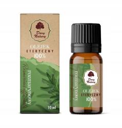Dary Natury Rozmaring illóolaj 100% 10ml Dary Natury (c)