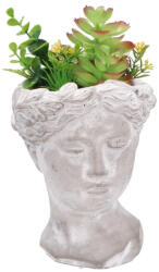 AdTrend Plante artificiale suculente in ghiveci III 14 x 14 x 27 cm (107023C)