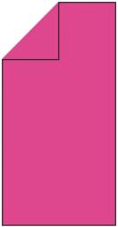 Sersimo Prosop din microfibra cu uscare rapida 100x180 cm, 200 GSM, roz, cu husa (ACT-0187) Prosop