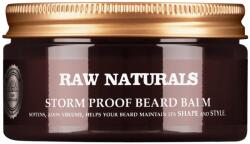 Raw Naturals Raw Naturals, Storm Proof, 100% vegan, Beard Balm, Softening, 100 ml