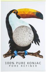 Konjac Konjac, Rainforest Toucan, Makeup Sponge