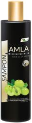 Ayurmed Ayurmed, Amla , Șampon, Cleansing, 250 ml