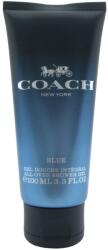 Coach Coach, Blue, Shower Gel, Beard & Hair, 100 ml
