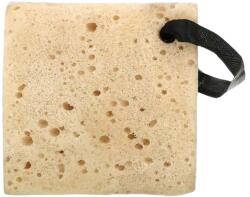 Biovene Biovene, Hydro Wash, Hyaluronic Acid & Cacao Gel-Infused, Exfoliates, Smoothens & Moisturizes, Body Sponge, *Tester