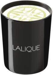 Lalique Lalique, Osmanthus Himalaya Nepal, Osmanthus, Scented Candle, 190 g