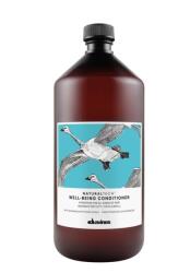 Davines Davines, Well Being, Balsam, For Hydration, 1000 ml