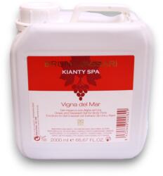 Bruno Vassari Bruno Vassari, Kianty SPA, Grape, Anti-Cellulite, Body Gel, 2000 ml