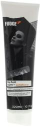 Fudge Professional Fudge Professional, Big Bold Oomf, Balsam, Volume, 300 ml