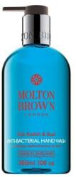 Molton Brown Molton Brown, Rok Radish & Basil, Anti-Bacterial, Liquid Soap, For Hands, 300 ml