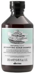 Davines Davines, Natural Tech, Șampon, For Detoxing, 250 ml